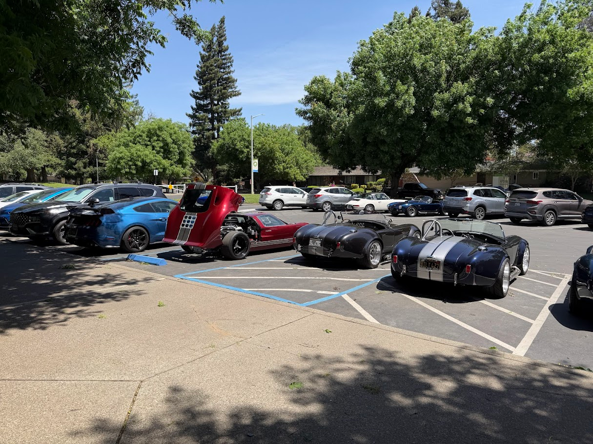 annual picnic